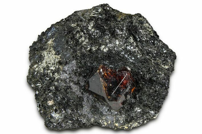 Fluorescent Zircon Crystal and Magnetite in Biotite Schist - Norway #363938